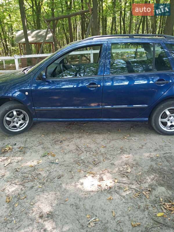 Універсал Skoda Fabia 2006 в Бурштині