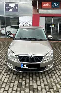 Хэтчбек Skoda Fabia 2013 в Хусте