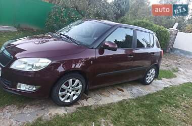 Хэтчбек Skoda Fabia 2010 в Рожнятове