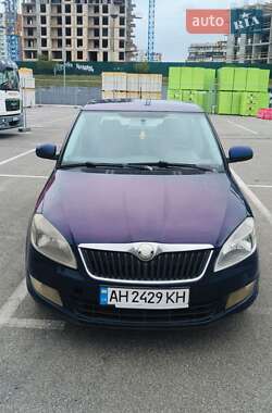 Хэтчбек Skoda Fabia 2010 в Киеве