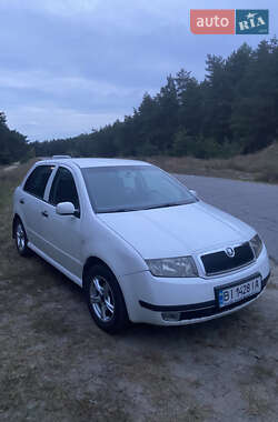 Хетчбек Skoda Fabia 2001 в Кропивницькому