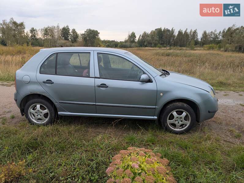Хэтчбек Skoda Fabia 2003 в Киеве