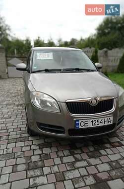 Универсал Skoda Fabia 2008 в Бочковцах