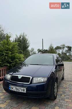 Хэтчбек Skoda Fabia 2003 в 