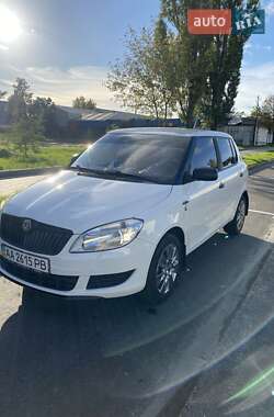 Хэтчбек Skoda Fabia 2011 в Киеве