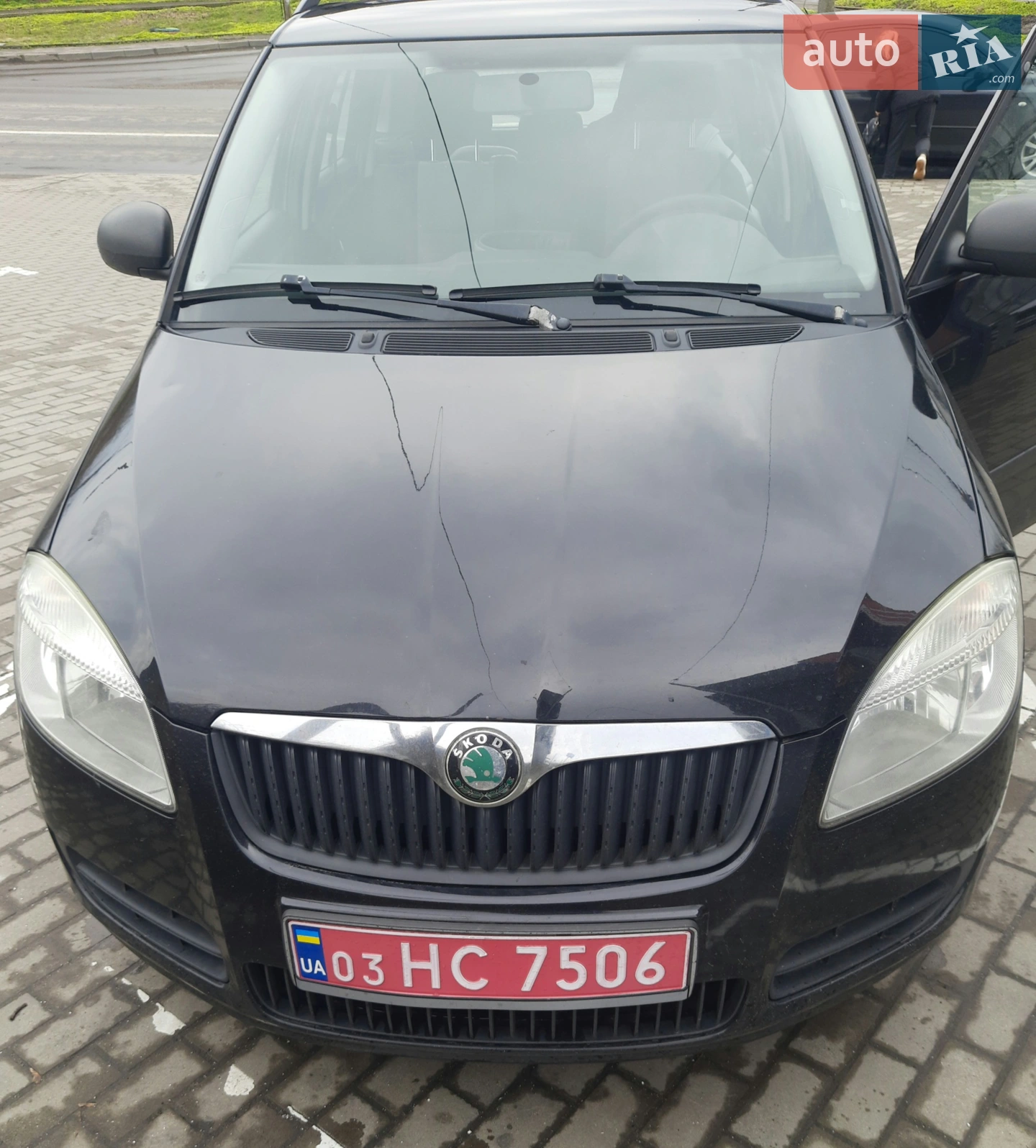 2010 Skoda Fabia - фото 1