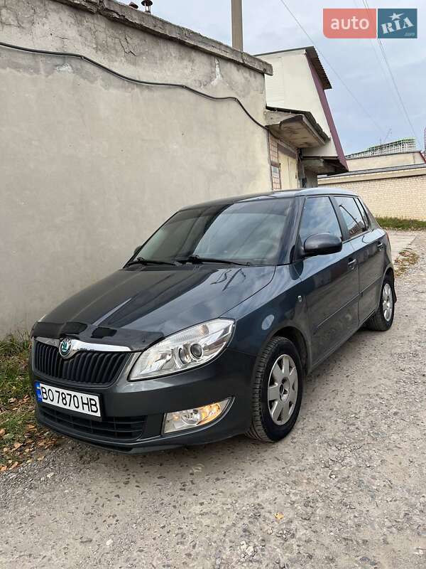 Хетчбек Skoda Fabia 2010 в Тернополі