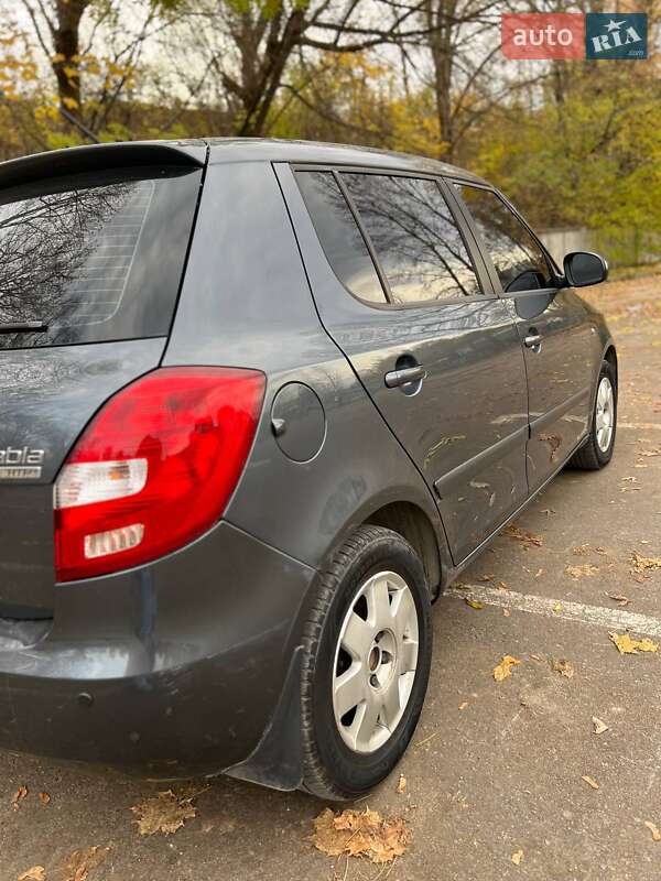 Хетчбек Skoda Fabia 2010 в Тернополі