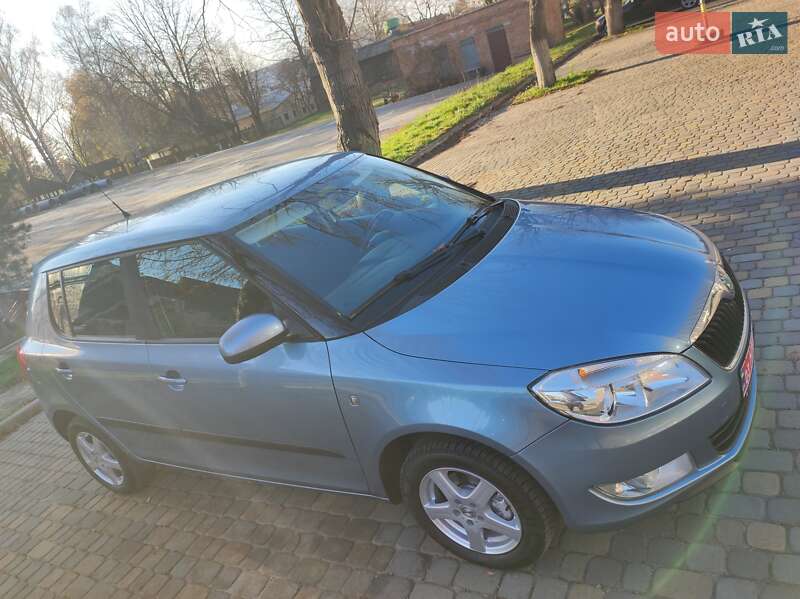Хэтчбек Skoda Fabia 2010 в Луцке