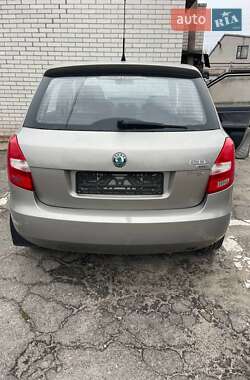 Хэтчбек Skoda Fabia 2010 в Запорожье