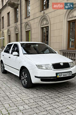 Хэтчбек Skoda Fabia 2004 в Запорожье