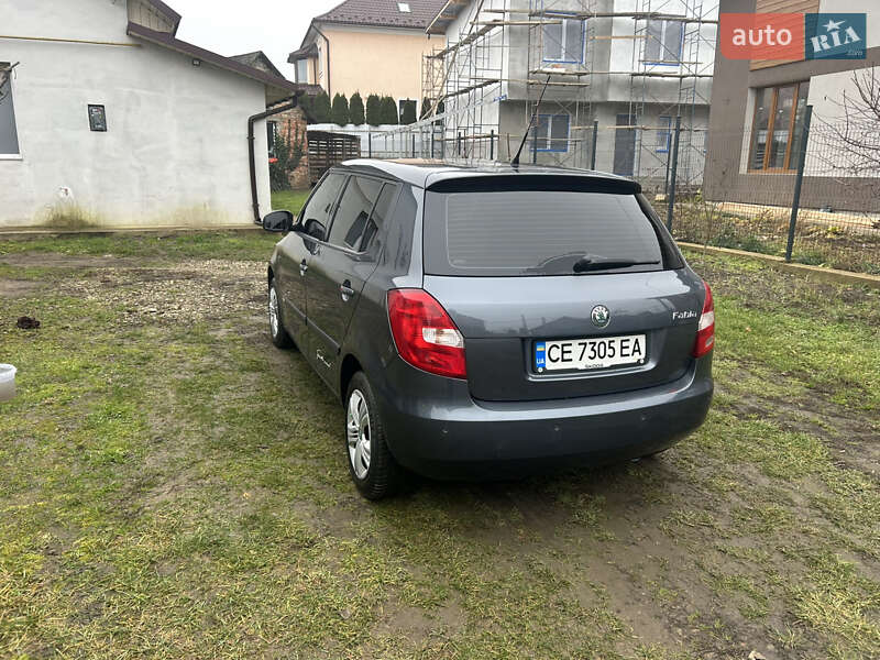 Хэтчбек Skoda Fabia 2009 в Черновцах