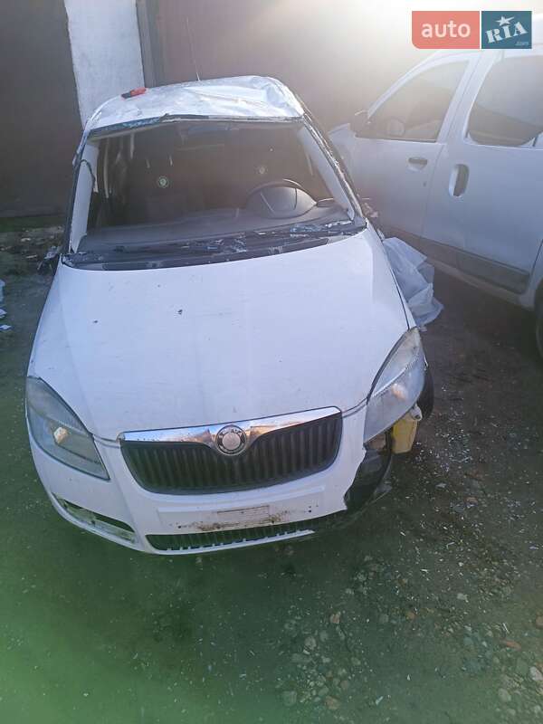 Хэтчбек Skoda Fabia 2010 в Днепре