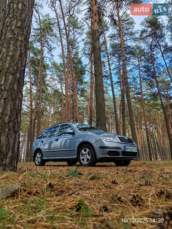 Універсал Skoda Fabia 2004 в Сумах