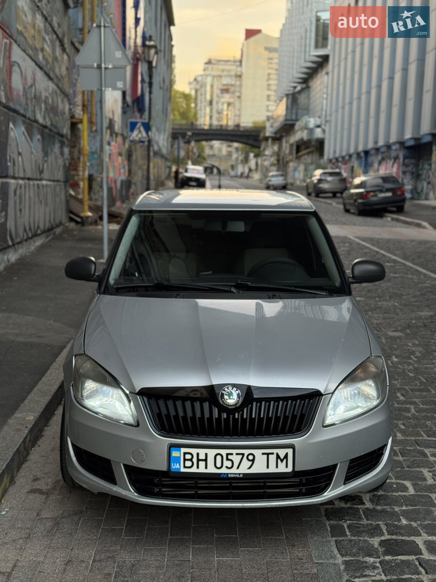 2011 Skoda Fabia - фото 1