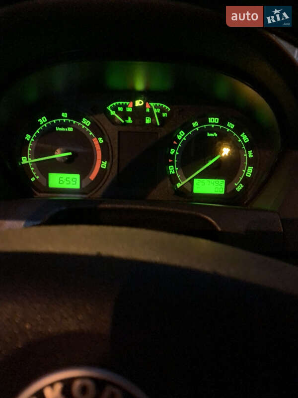 Хетчбек Skoda Fabia 2005 в Батурині