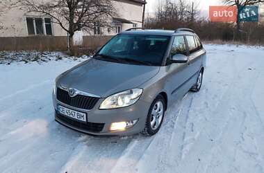Універсал Skoda Fabia 2010 в Кіцмані