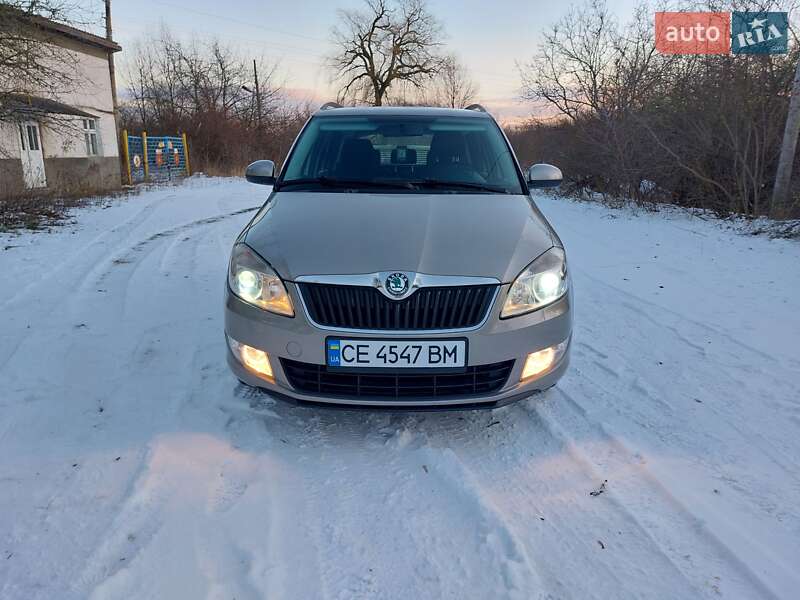 Універсал Skoda Fabia 2010 в Кіцмані