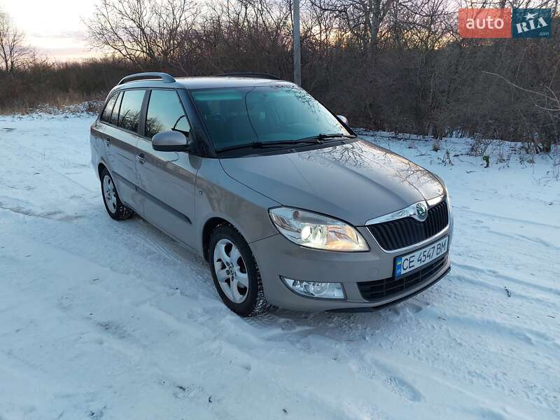 Універсал Skoda Fabia 2010 в Кіцмані