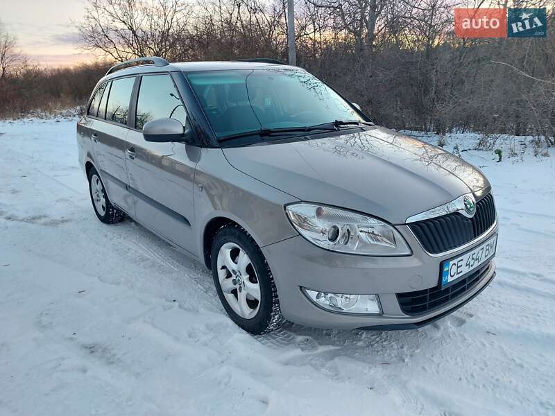 Універсал Skoda Fabia 2010 в Кіцмані