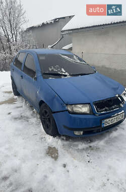 Хэтчбек Skoda Fabia 2002 в Черновцах