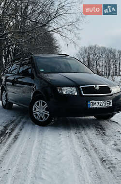Универсал Skoda Fabia 2007 в Ромнах