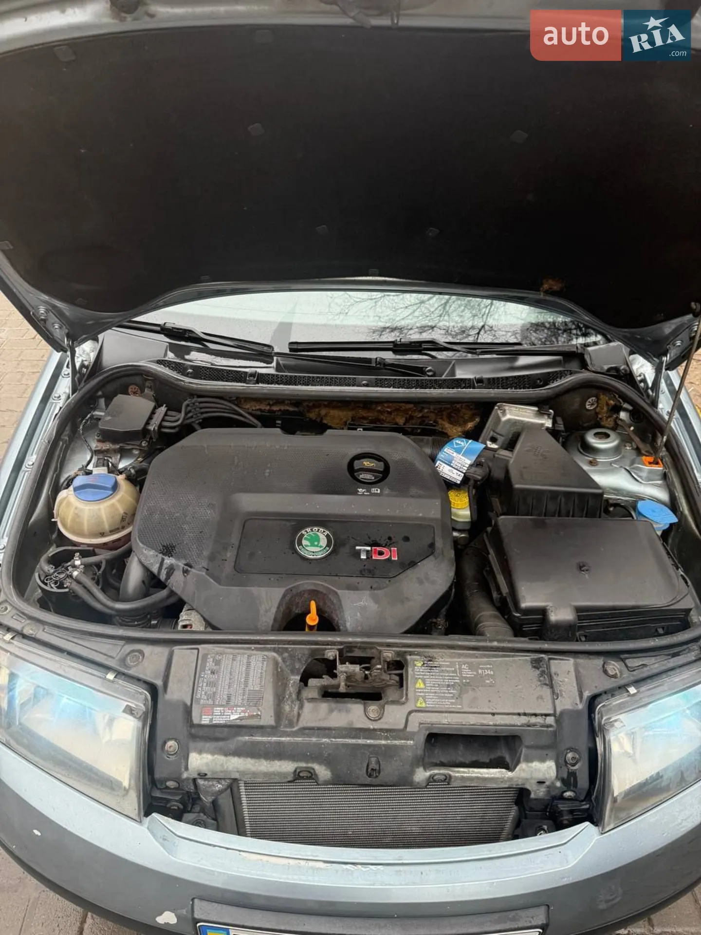 Skoda Fabia 2003 VIN TMBJS26Y833803083 фото оголошення 14 з 16