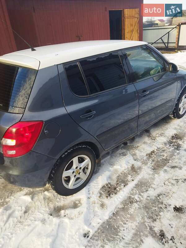 Хэтчбек Skoda Fabia 2007 в Милиево фото 15 Хэтчбек Skoda Fabia 2007 в Милиево