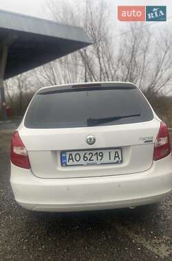 Хэтчбек Skoda Fabia 2010 в Ужгороде