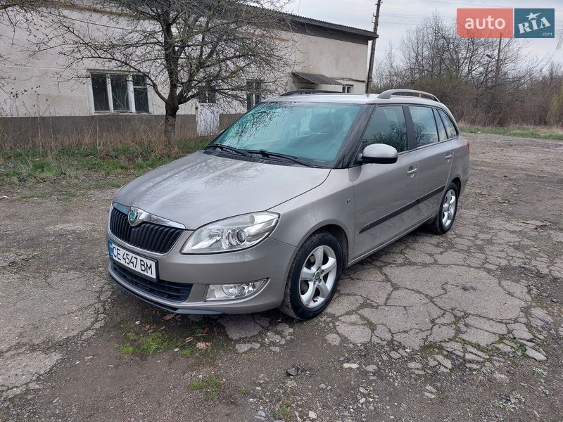 Універсал Skoda Fabia 2010 в Кіцмані