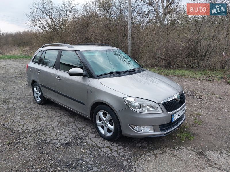 Універсал Skoda Fabia 2010 в Кіцмані