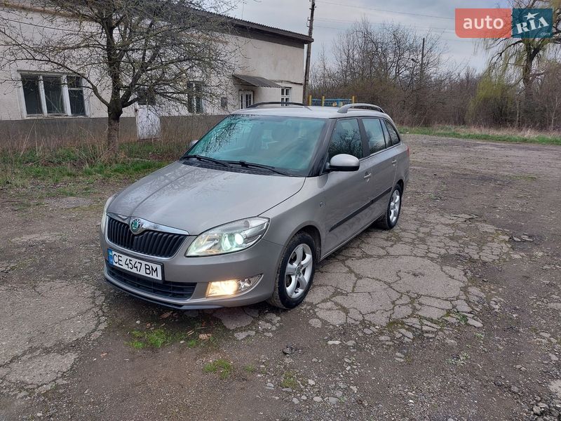 Універсал Skoda Fabia 2010 в Кіцмані