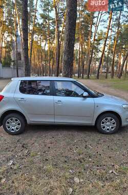 Хэтчбек Skoda Fabia 2011 в Житомире