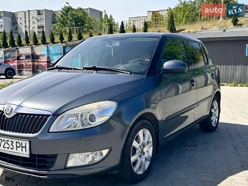 Skoda Fabia 2010 VIN TMBES25J9B3072698 фото оголошення 3 з 70