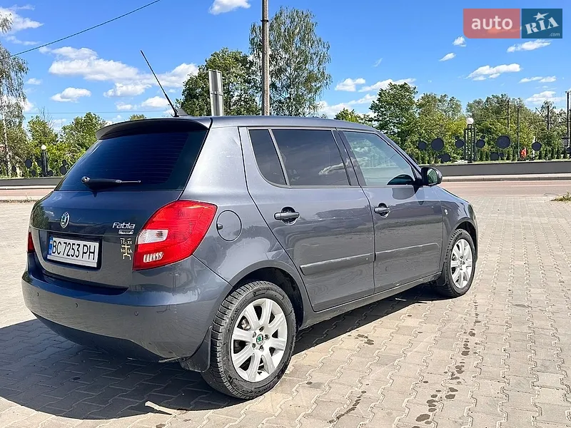 Skoda Fabia 2010 VIN TMBES25J9B3072698 фото оголошення 19 з 70