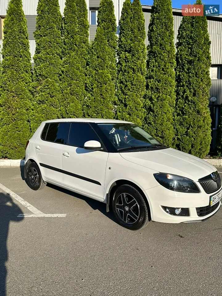 2013 Skoda Fabia - мініатюра 27