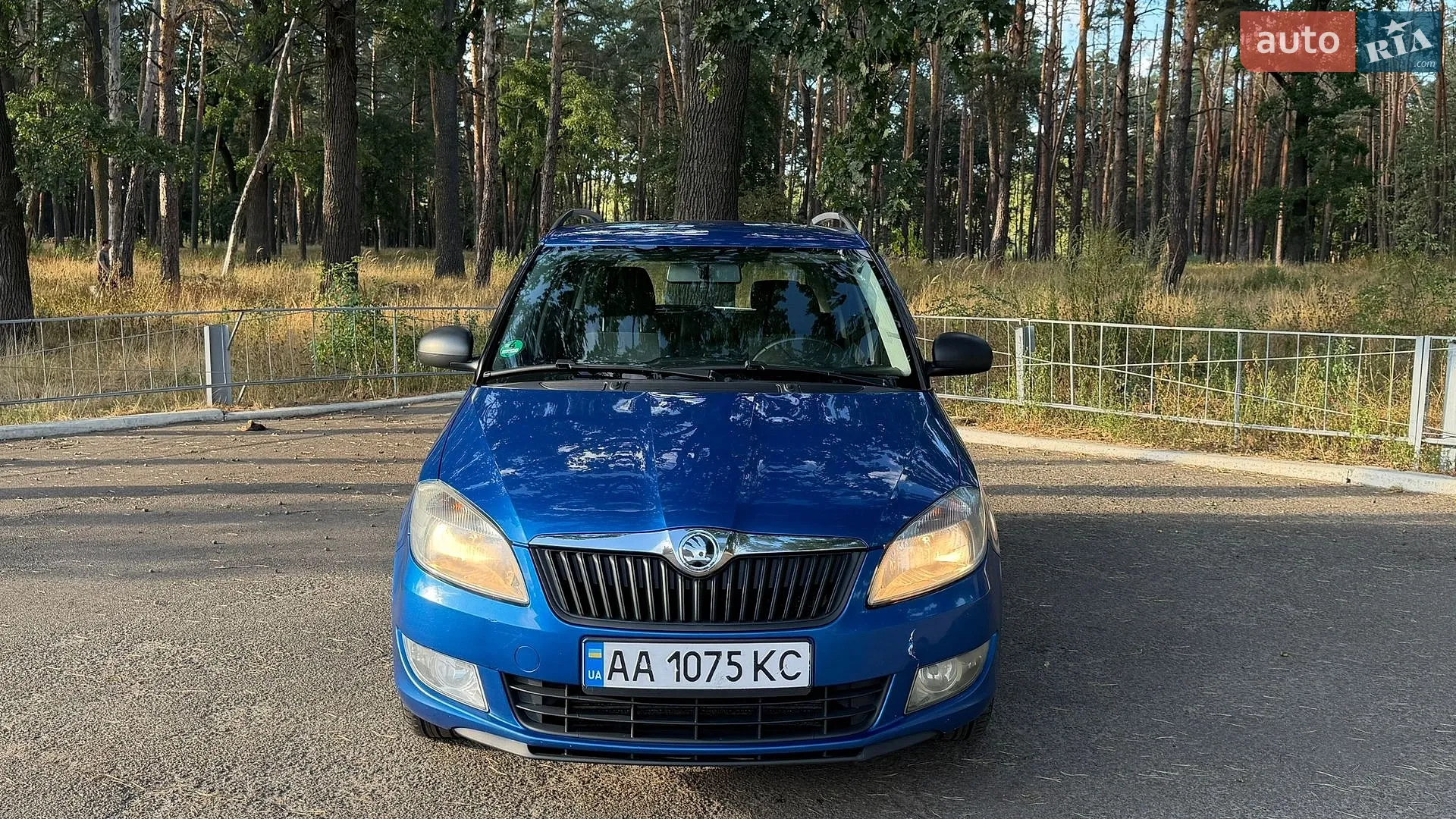 2014 Skoda Fabia - фото 1