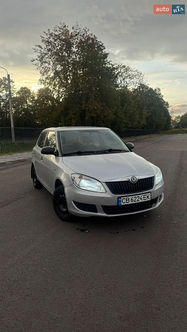 2010 Skoda Fabia - фото 1
