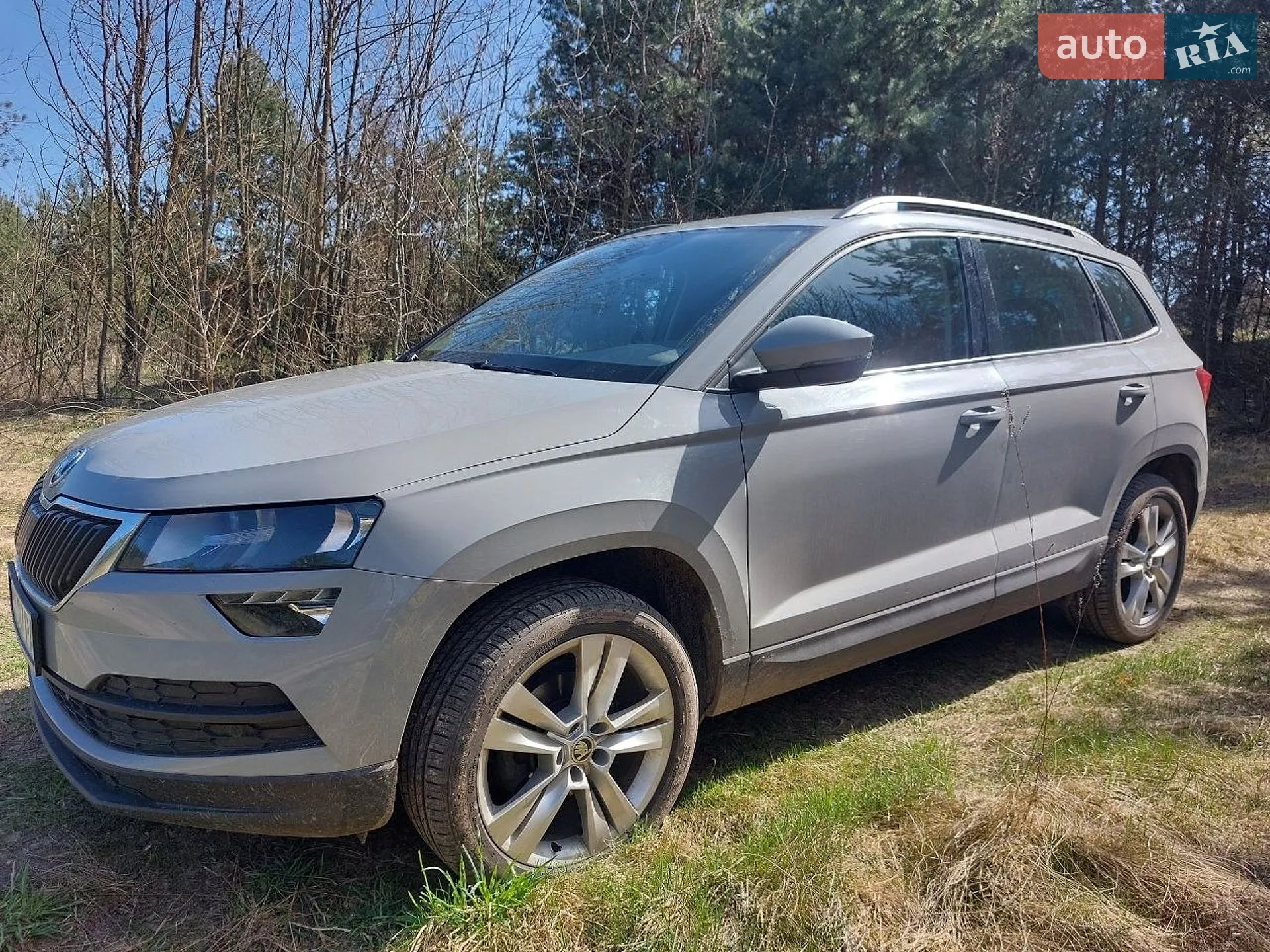 2019 Skoda Karoq - мініатюра 3