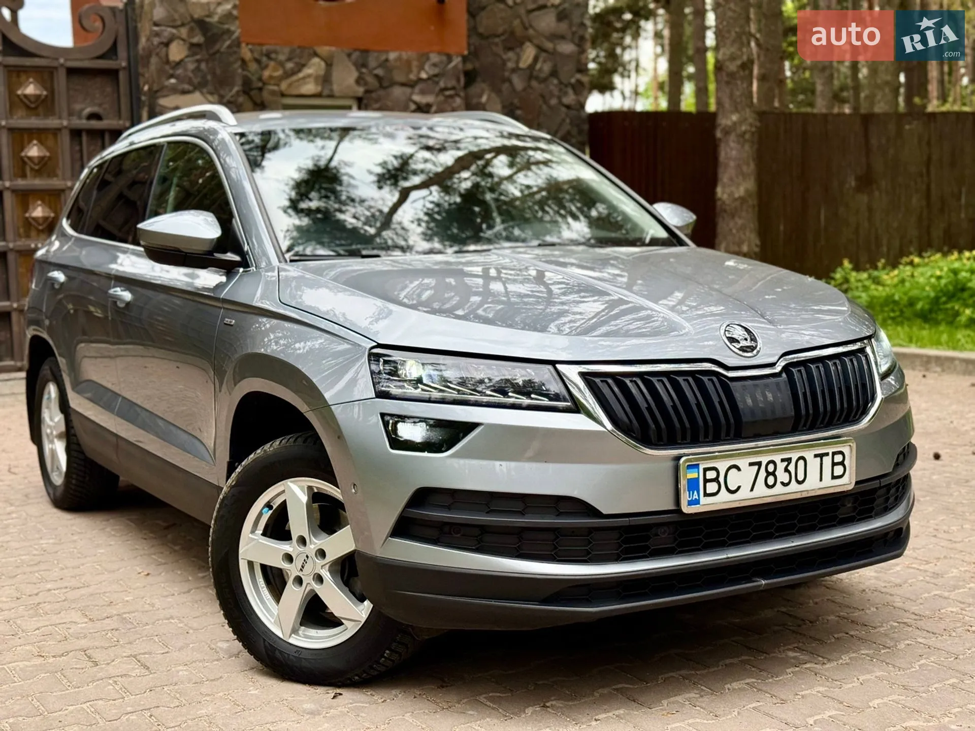 2021 Skoda Karoq - мініатюра 2