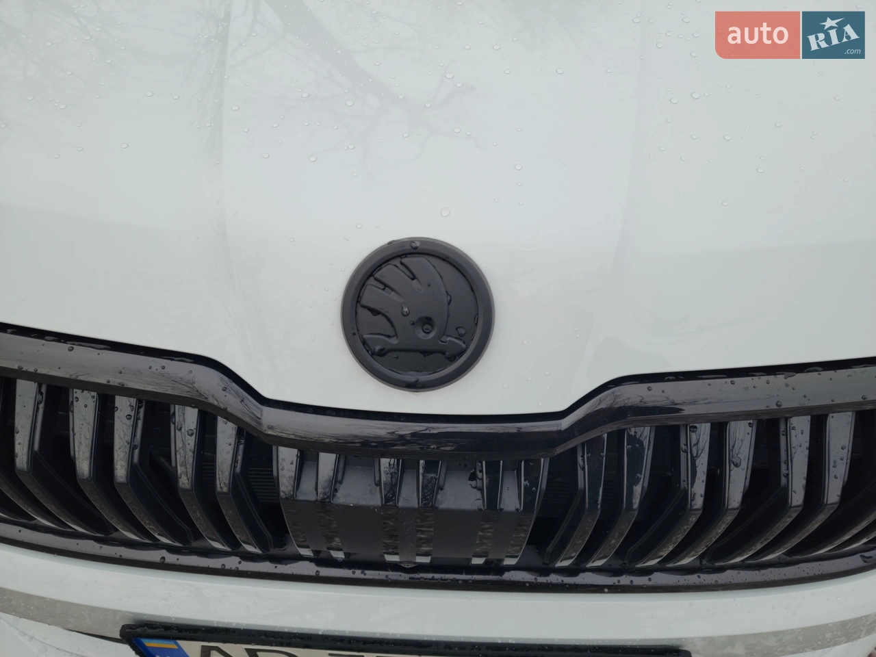 2021 Skoda Kodiaq - мініатюра 10