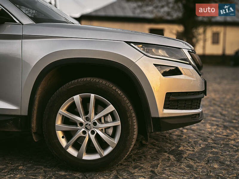 Внедорожник / Кроссовер Skoda Kodiaq 2019 в Луцке