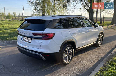 Позашляховик / Кросовер Skoda Kodiaq 2024 в 