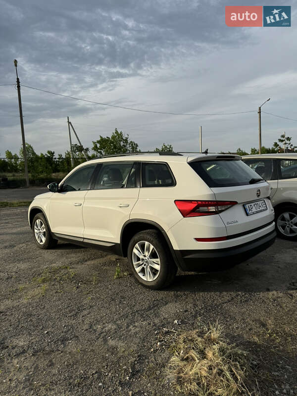 Внедорожник / Кроссовер Skoda Kodiaq 2019 в Запорожье