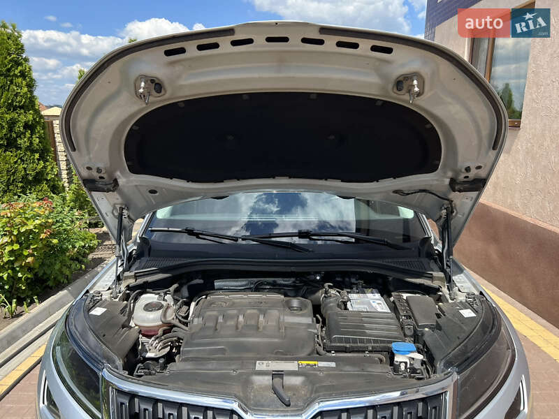 Внедорожник / Кроссовер Skoda Kodiaq 2019 в Балте