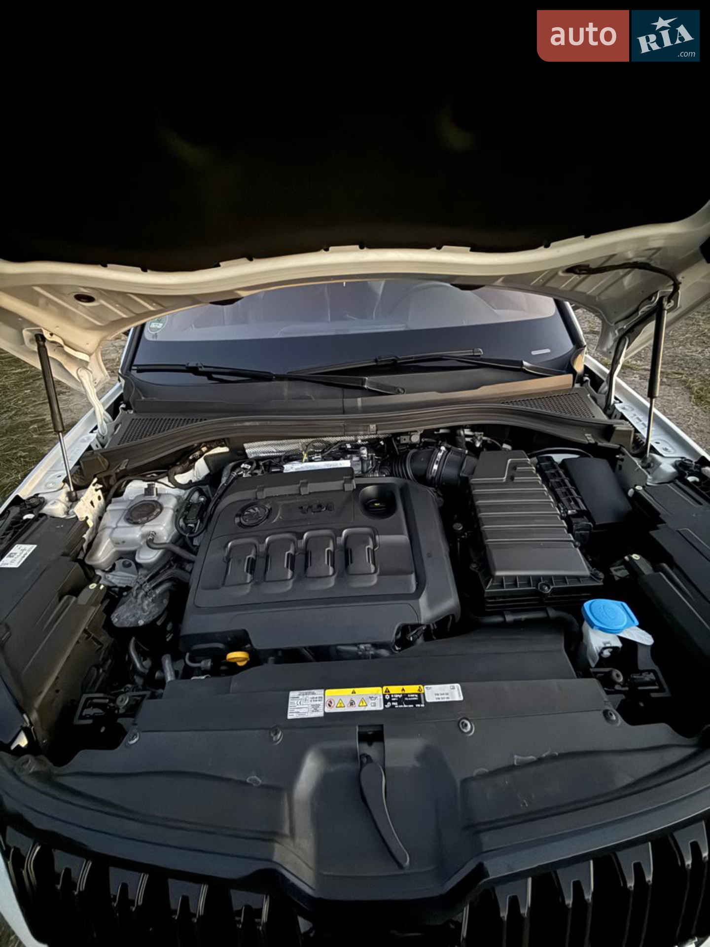 2020 Skoda Kodiaq - мініатюра 12