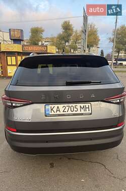 Внедорожник / Кроссовер Skoda Kodiaq 2023 в 