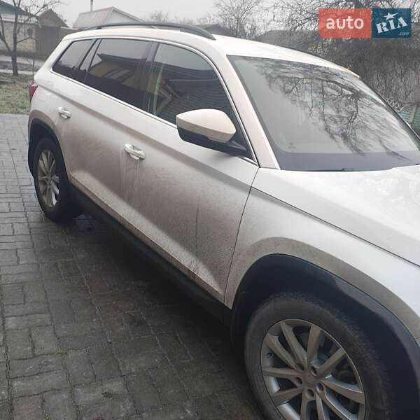 Внедорожник / Кроссовер Skoda Kodiaq 2020 в Шостке фото 2 Внедорожник / Кроссовер Skoda Kodiaq 2020 в Шостке