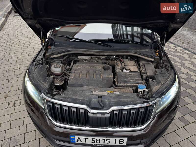 Внедорожник / Кроссовер Skoda Kodiaq 2019 в Ивано-Франковске