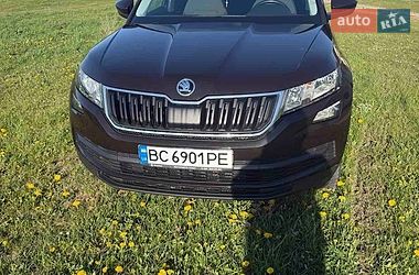 Внедорожник / Кроссовер Skoda Kodiaq 2019 в Золочеве